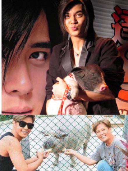 宋茜养猪奇葩视频,宋茜养猪达人完整视频