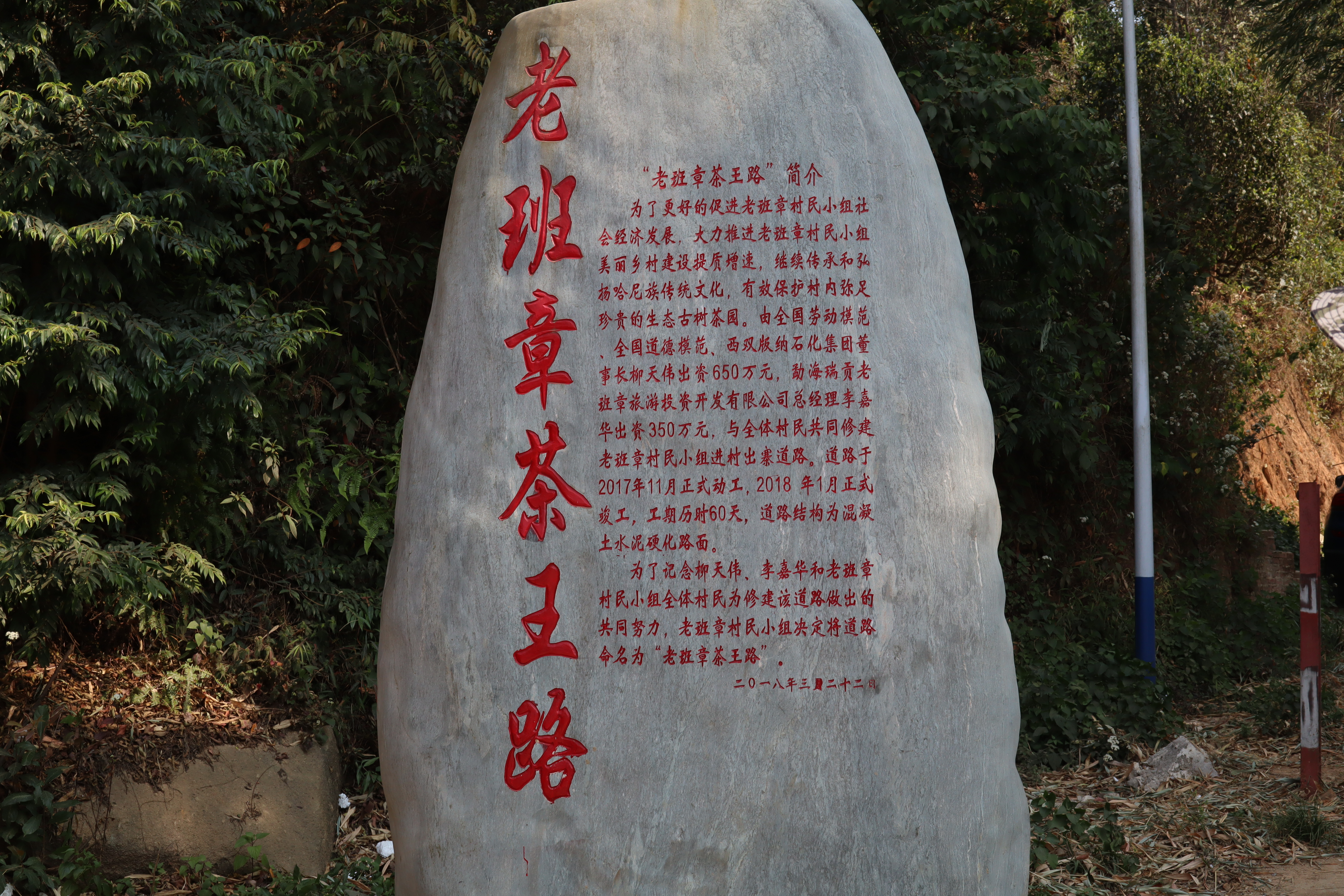 真正的老班章茶是什么口感,真正的老班章普洱茶口感