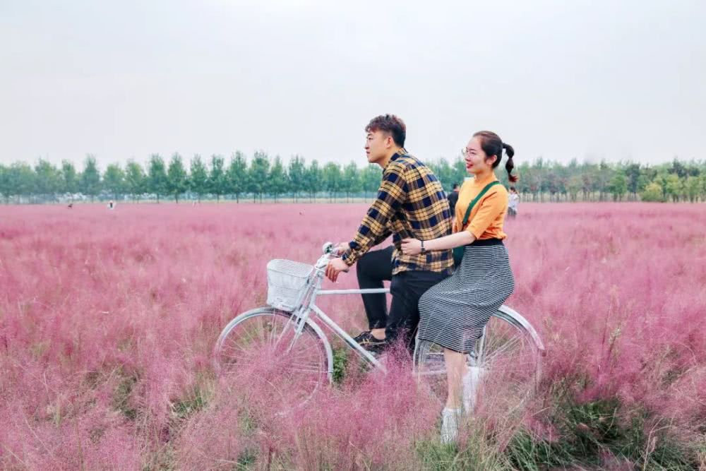 台儿庄祥和庄园自驾游攻略,台儿庄古城祥和庄园