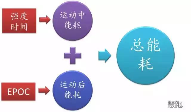 什么是hit运动,高强度hit训练