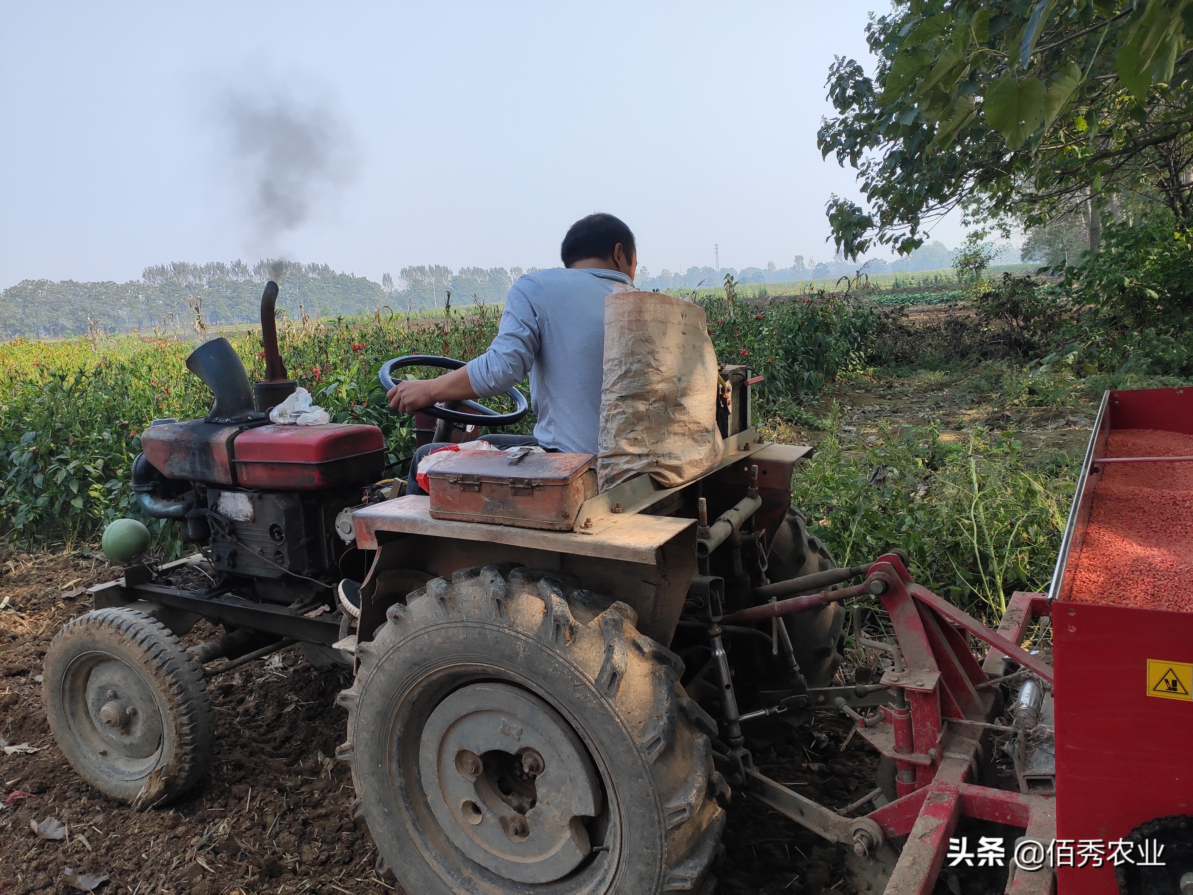 未来5年农村最有前景的行业,未来5年在农村最有前景的5个行业