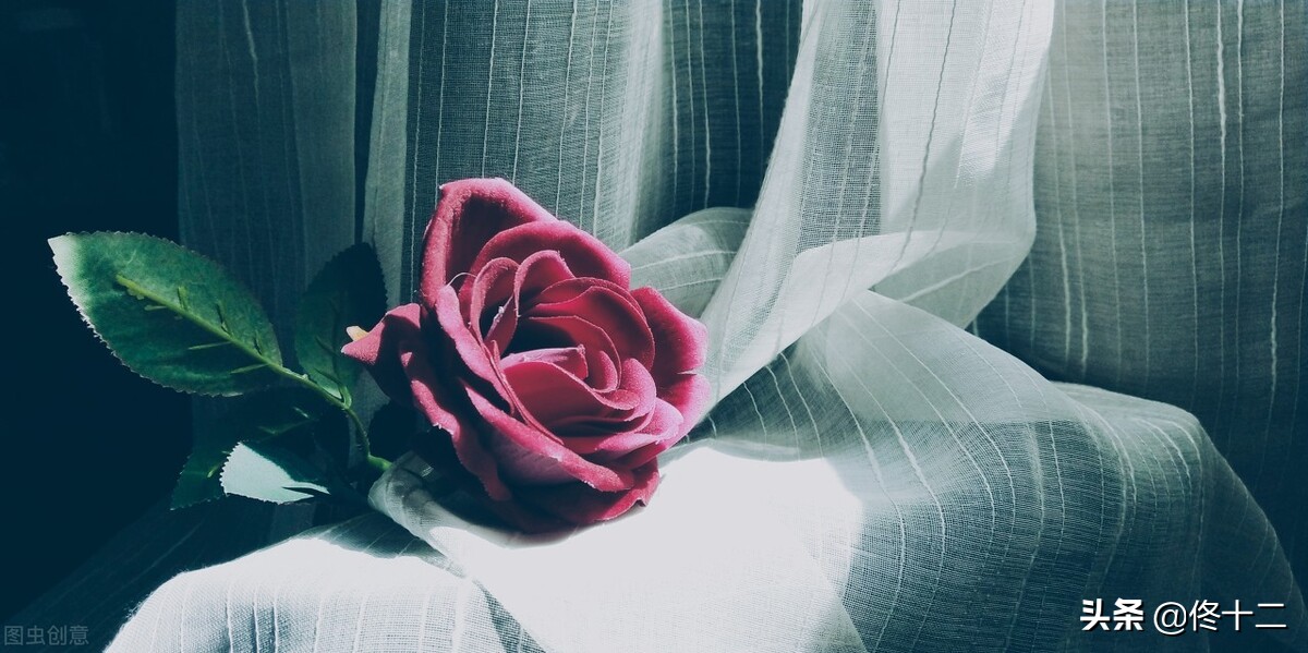 一个人情商极高的六大表现太准了,女生情商和智商很高的表现