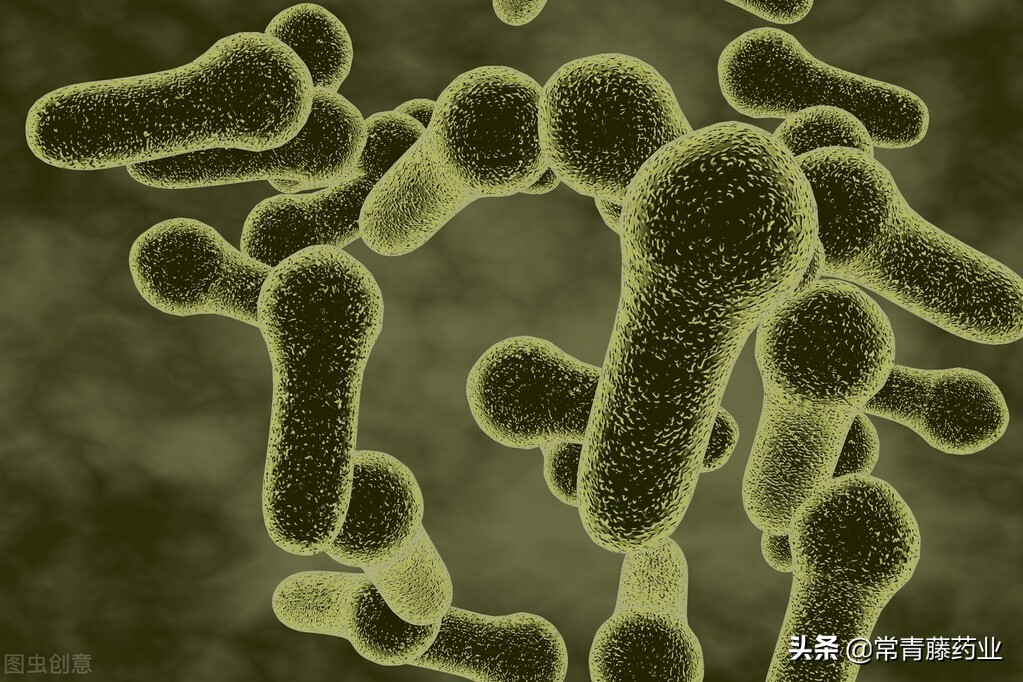 蛇咬一口就是毒！医院天天收到蛇咬伤的病人，蛇咬伤怎么处理？