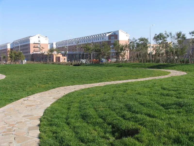 沈阳航空航天大学在辽宁省的地位,辽宁省沈阳航空航天大学在哪个区