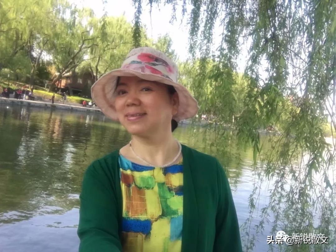 7楼高的电梯房发现老鼠怎么办,高层楼房7楼有没有老鼠