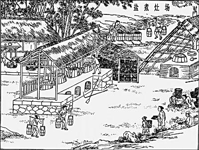 为什么浦东老地名中有这么多场、团、灶？原来与此有关