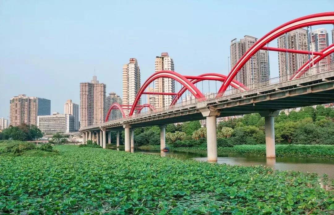 笋岗,不说再见!