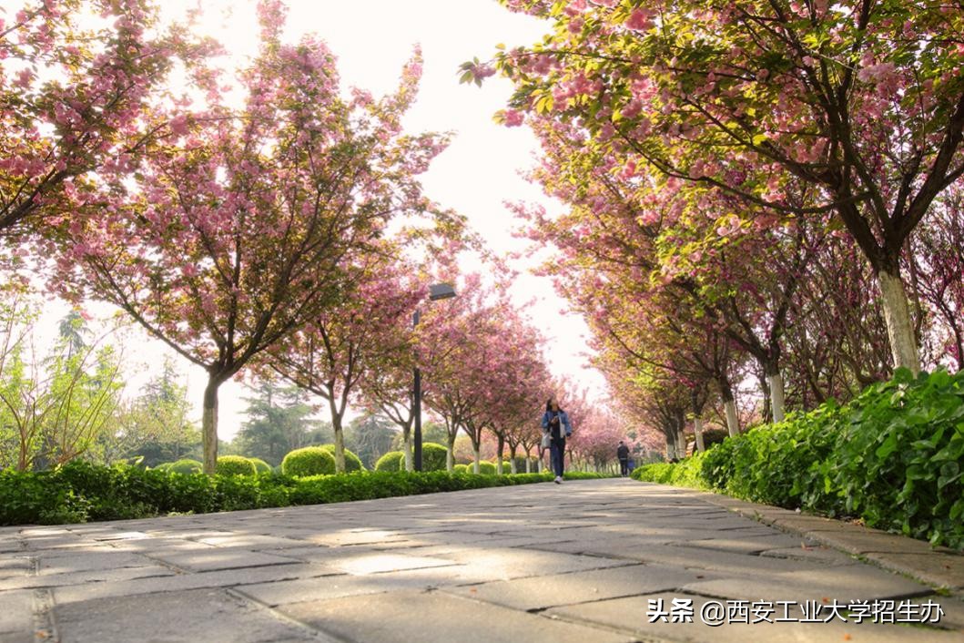 女学生创业挣1800万,女孩大一创业挣20万