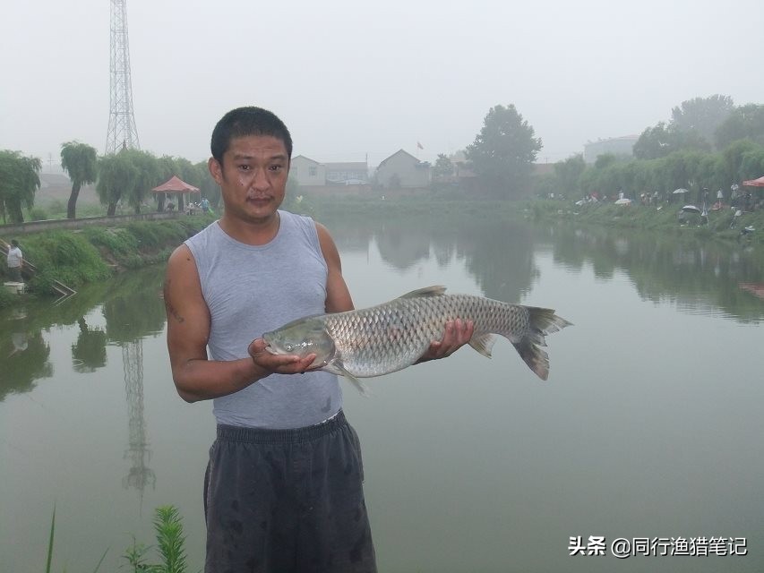 单手卸鱼小技巧,卸鱼手法教程视频