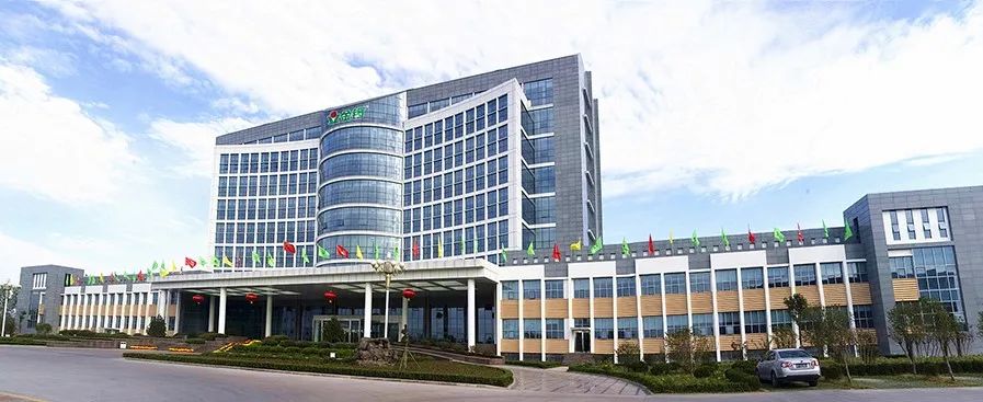 探访金锣车间,金锣工厂新消息