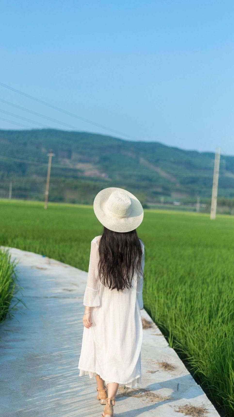 青春的灿烂完整版,青春的灿烂时光