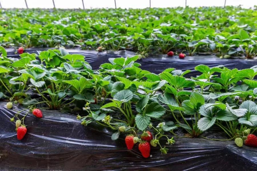 兰州新区三月游,五一兰州新区游