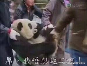 贫贫无妻，一个数码宅打工仔的复工通勤EDC