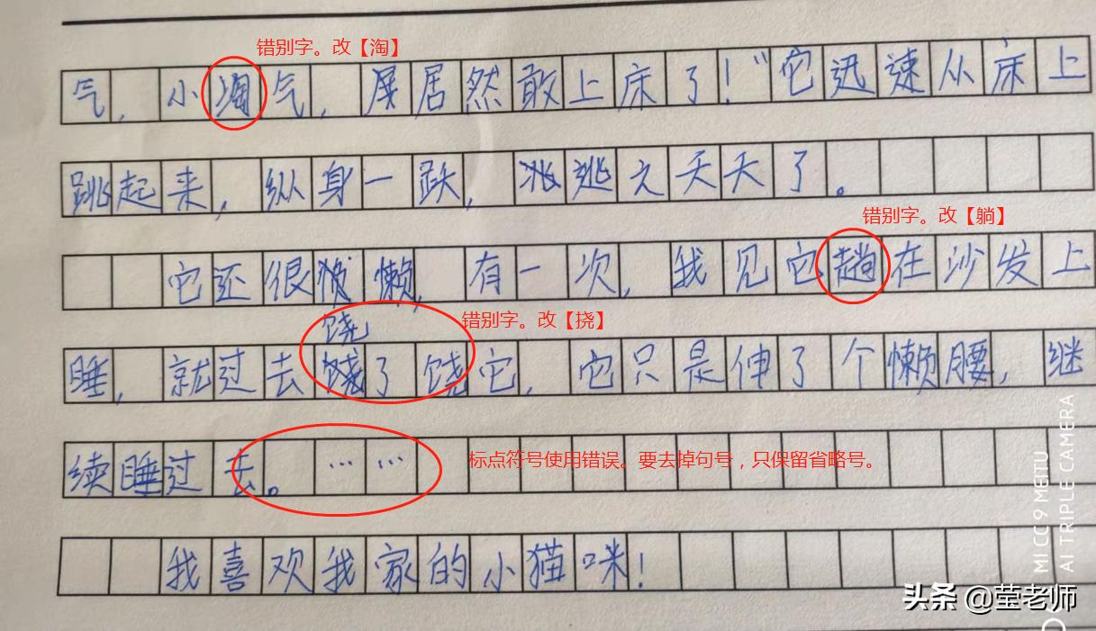 应邀点评作文/我家的小猫咪（四年级小美）