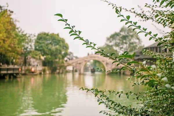 人生建议一定要来一次乌镇,一生一定要去一次的乌镇