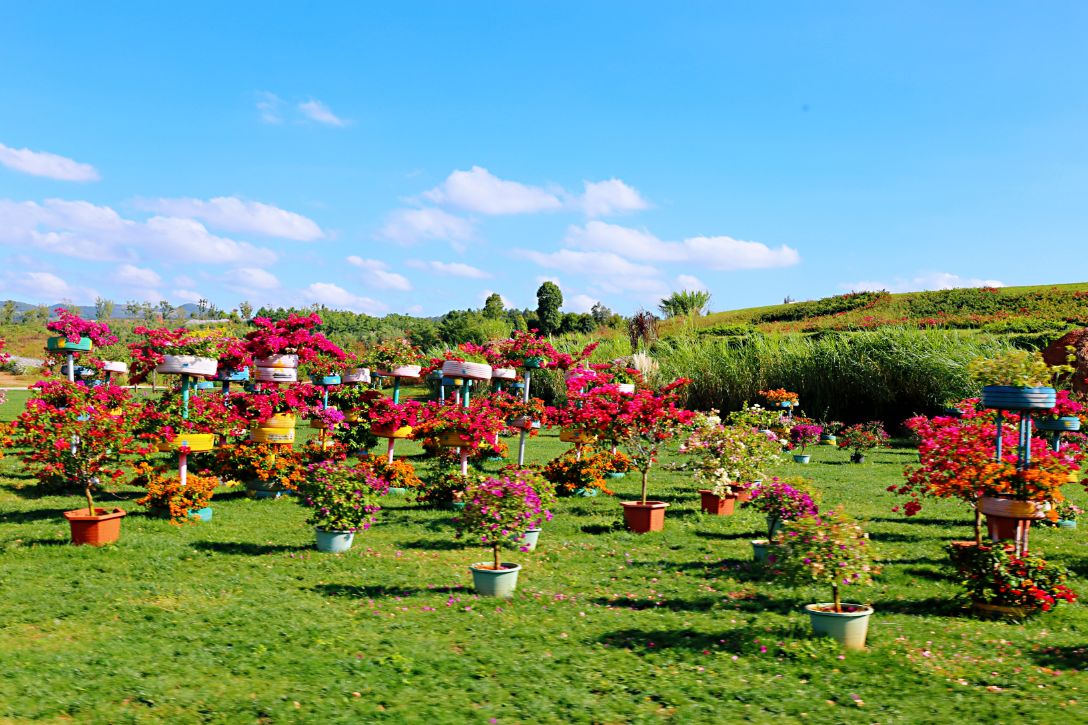 弥勒太平湖森林木屋酒店团购直播,弥勒太平湖森林木屋酒店有温泉