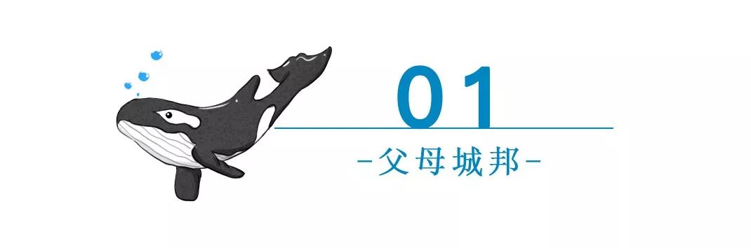 孩子沉迷网络父母怎么办,孩子沉迷网络小说怎么教育最好