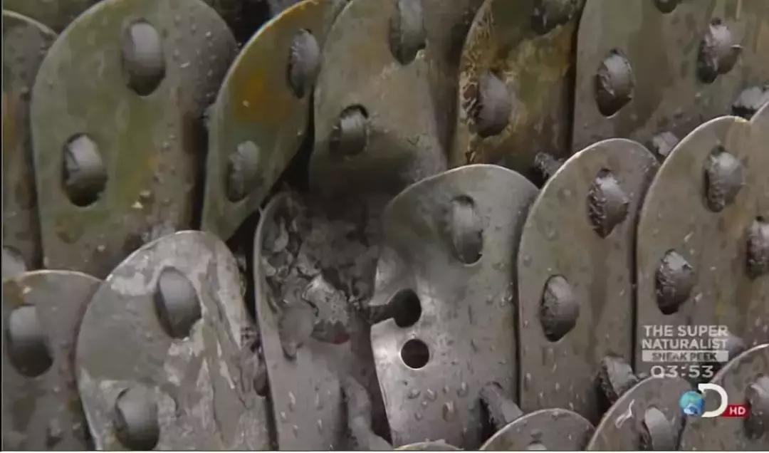 欧洲板甲有多强,欧洲板甲的防御测试视频