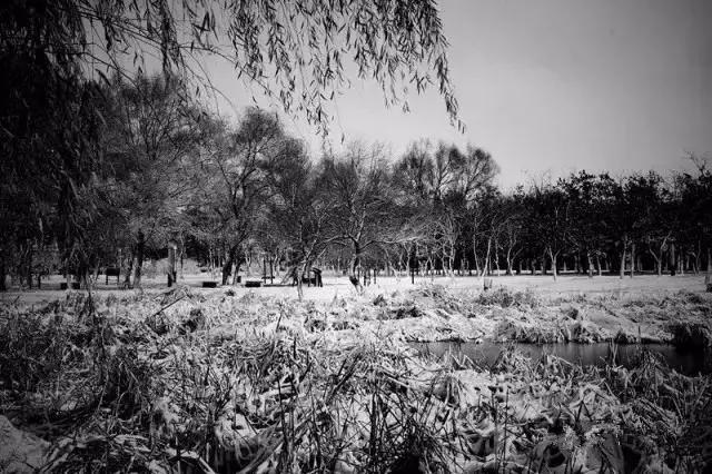 活成自己想要的模样沈北新区,你可能还不知道