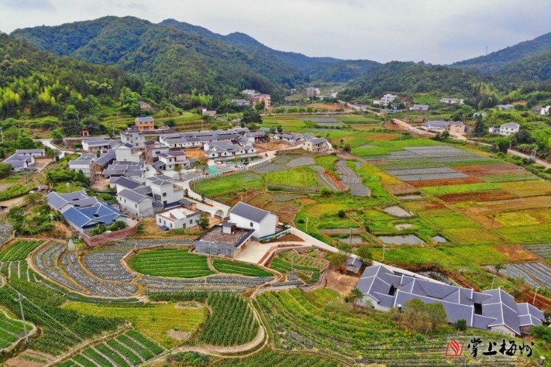 谢林港畔耐人看！梅州平远版“山乡巨变”正在上演