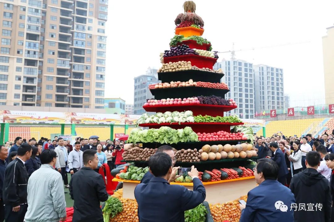 丹凤县经济在全国排名,陕西商洛丹凤县发展趋势