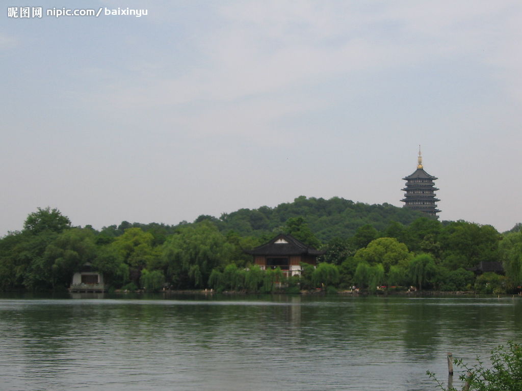 你知道蜻蜓为什么会飞吗？爱情必须轻，轻到可以在空气起舞