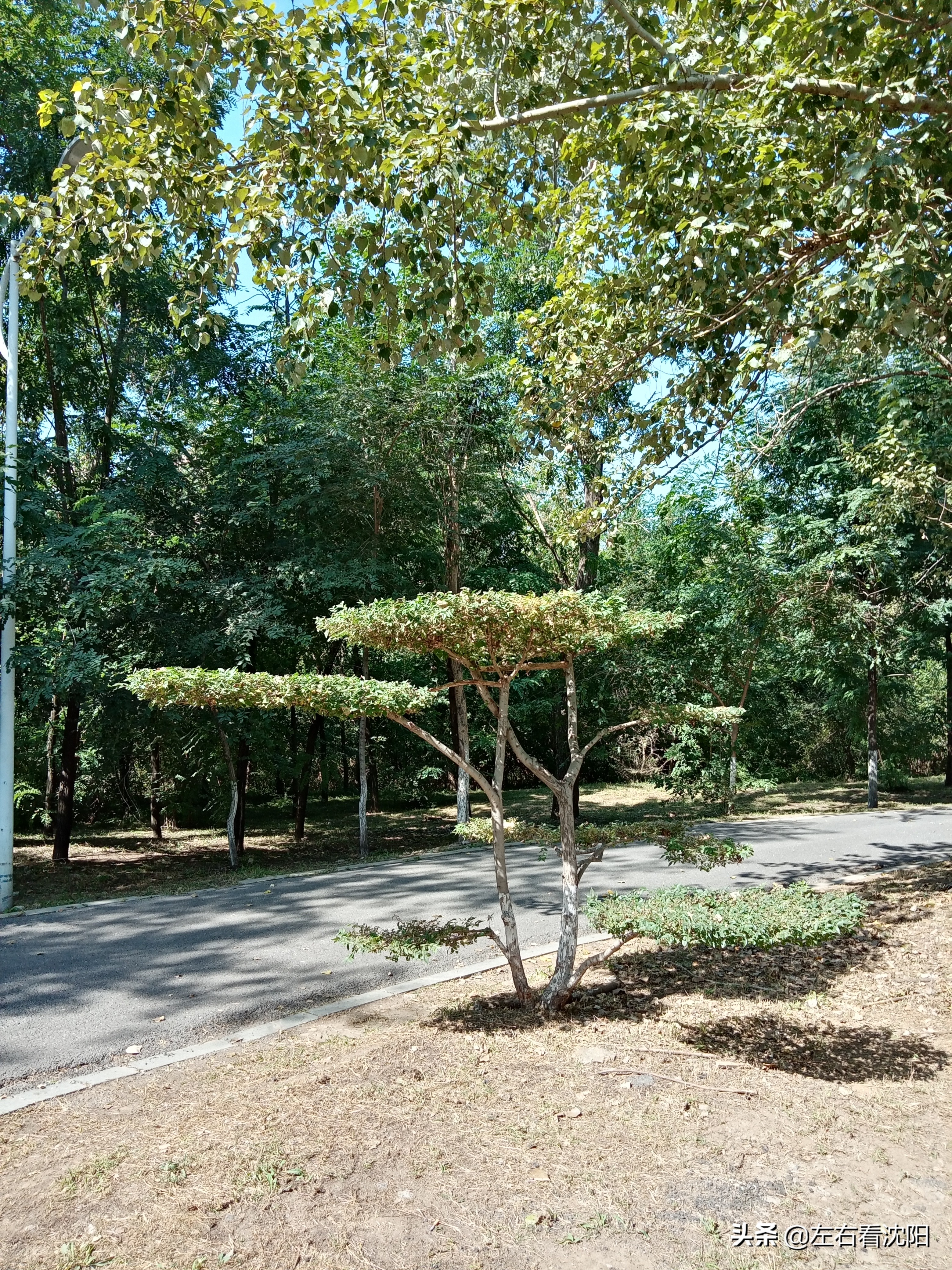 沈阳浑河游玩攻略冬季,盛京浑河晚渡视频