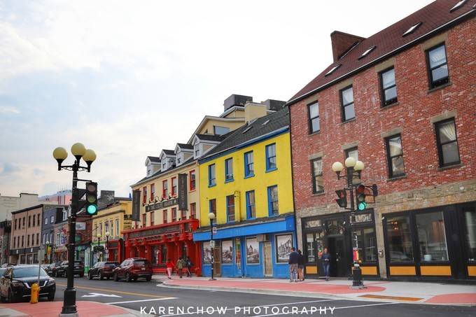 加拿大小众旅游目的地,加拿大纽芬兰自驾旅游