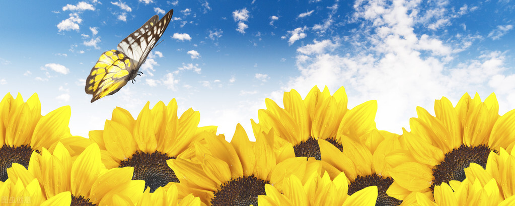 中考满分作文收集阳光,中考满分作文《光》