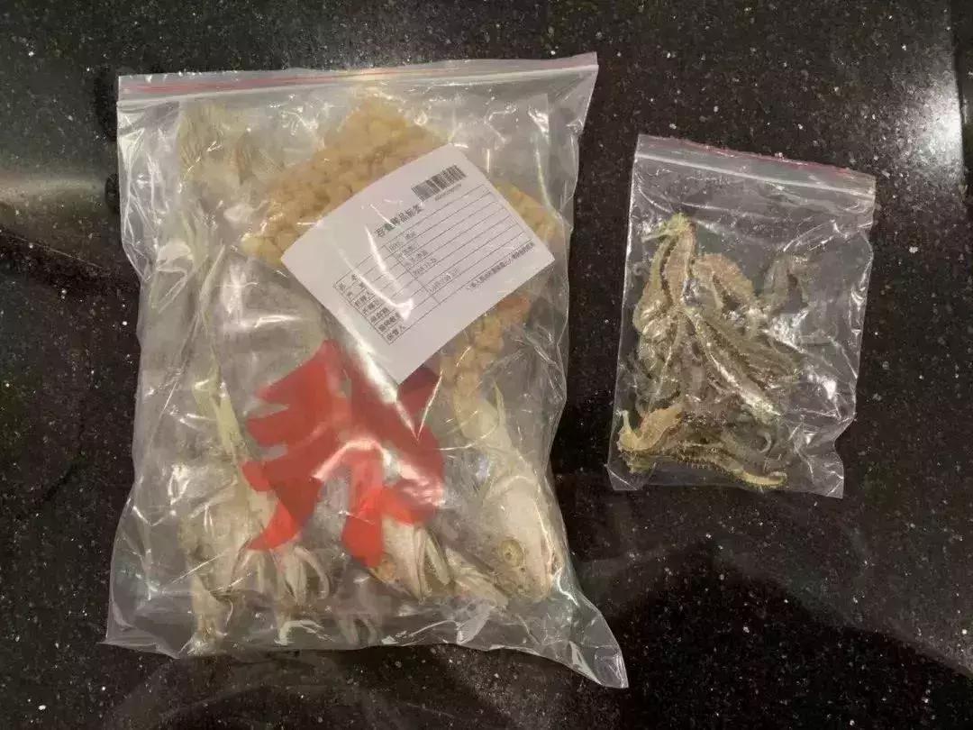 多次往返澳门被抓,在澳门被抓的人