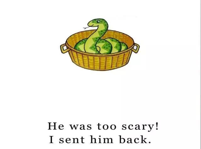 英语绘本阅读dearzoo完整版,dearzoo英语绘本阅读