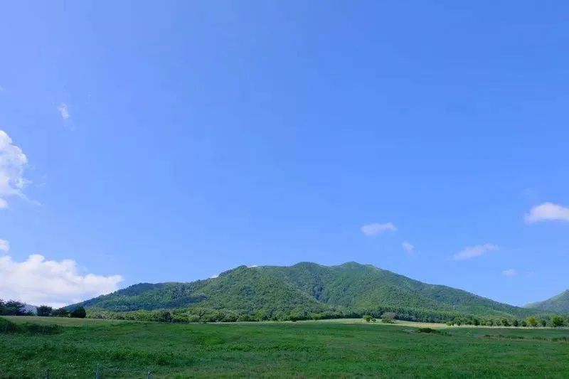 晴王和阳光玫瑰是一个品种吗,日本晴王葡萄和阳光玫瑰的区别