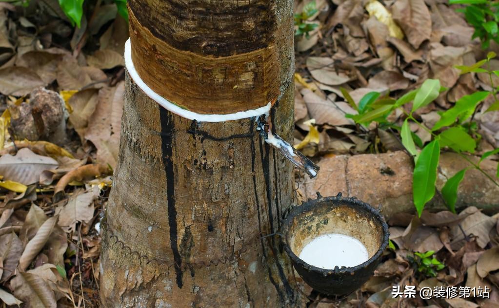 网上95%的乳胶枕是真的吗,如何鉴别乳胶枕头的真假与好坏