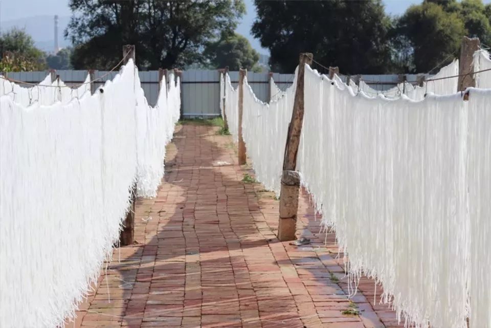 东北纯土豆粉条家常菜,干土豆粉条怎么泡