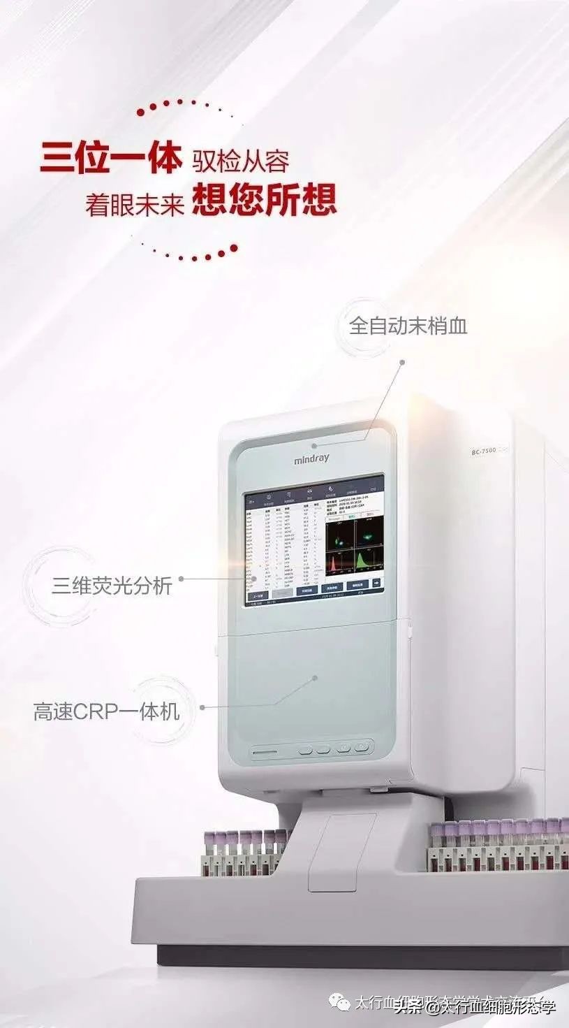 浆质体是什么,浆质体图片