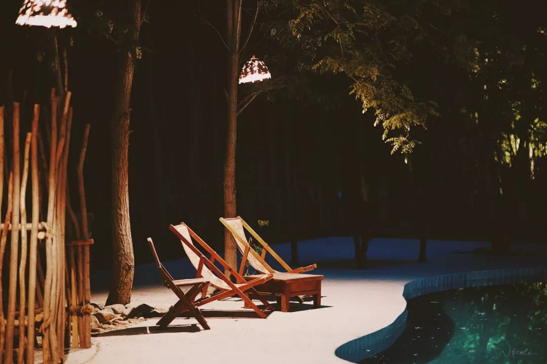 可盐可甜是哪首歌的歌词,可盐可甜出自哪