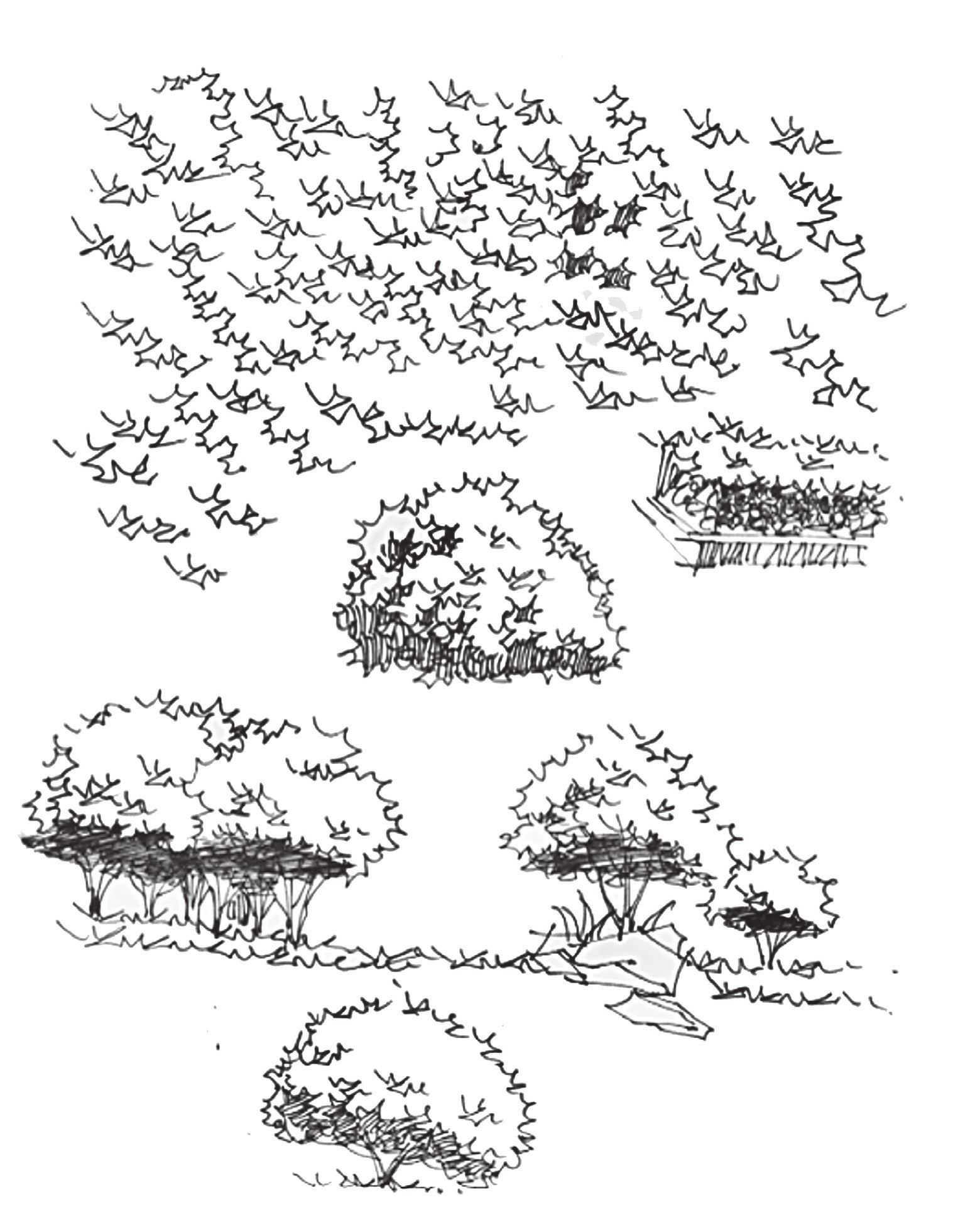 手绘技巧基础教学,手绘怎么练绘画线条