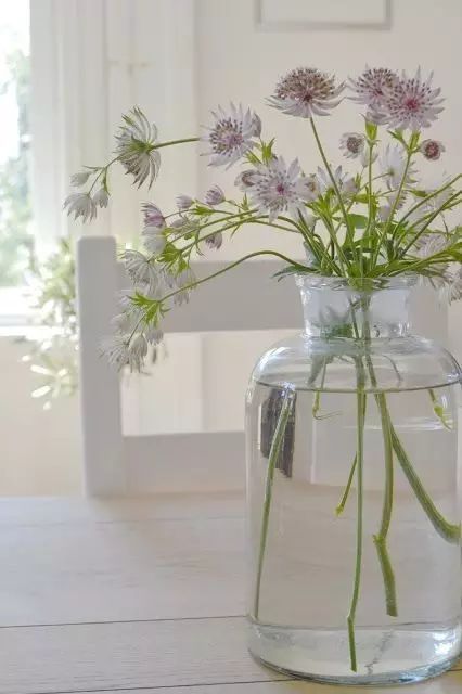 教你怎么学插花,小白零基础怎么学插花