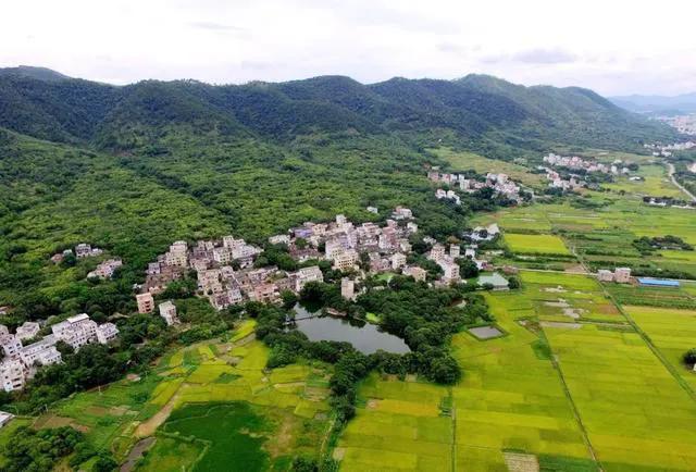 向郁南，郁南像一幅沉静的水墨