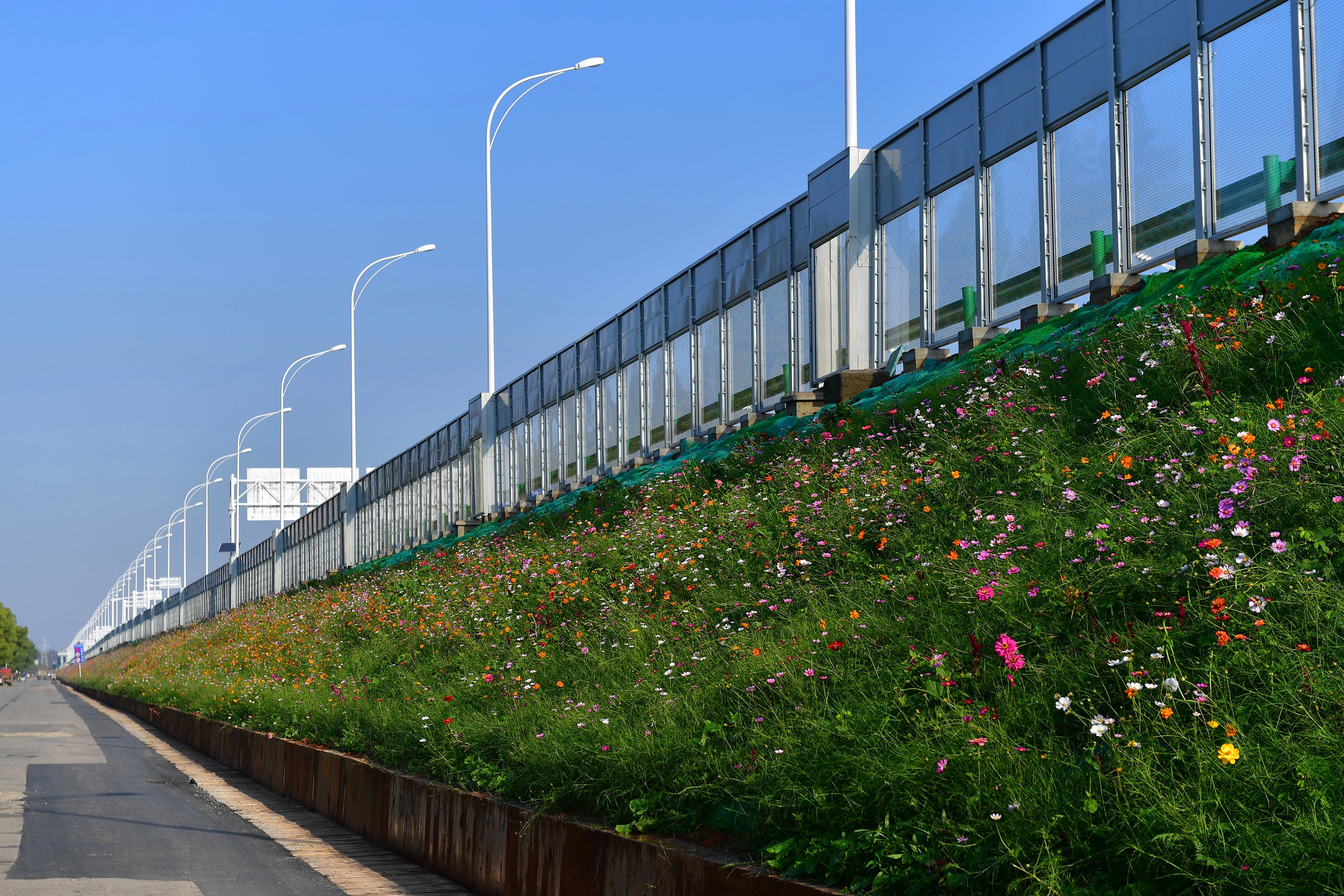 花田花海值得去吗,这些美到爆的花海一定要去看看