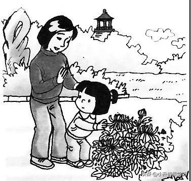 部编版小学语文期末复习提高技巧,部编版小学语文各单元知识点归纳