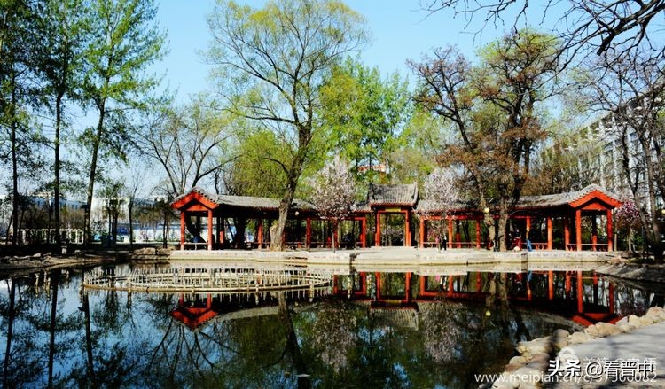 山西农大美丽的校园,山西农大校园风光