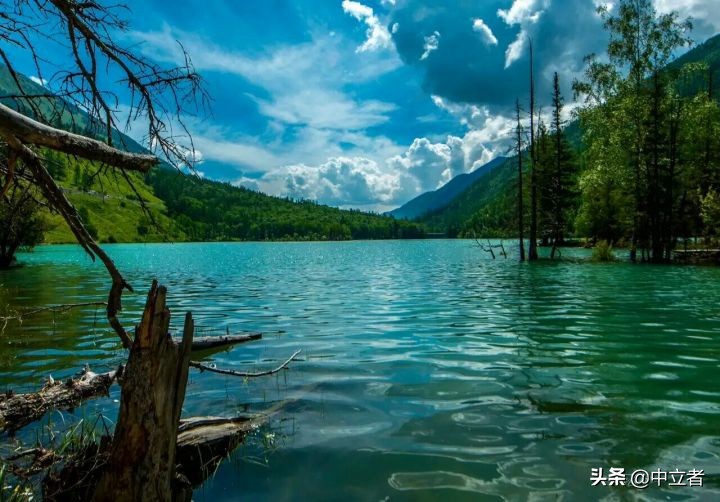 切糕为什么那么贵视频,路边的切糕多少钱