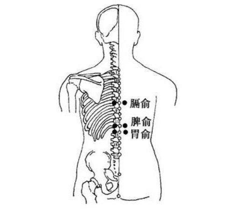 俞穴和募穴疗法可以艾灸吗,俞募配穴法临床应用