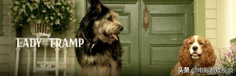 disney订阅平台,disney流媒体版