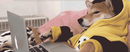 别争了，四川人内定了2021这个第一！