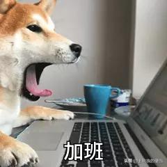 给孩子做懒人焖饭,天热不想做饭教你好吃的懒人焖饭