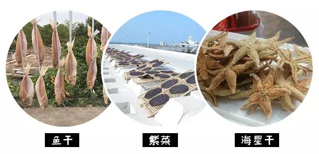 两天1晚珠海外伶仃岛跟团游,珠海外伶仃岛旅游攻略