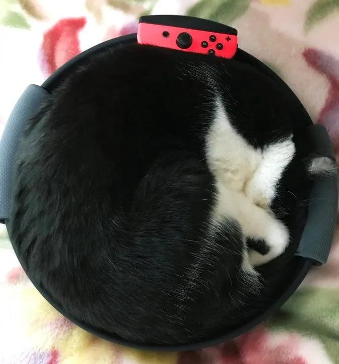 健身环发行时间,健身环发售时间