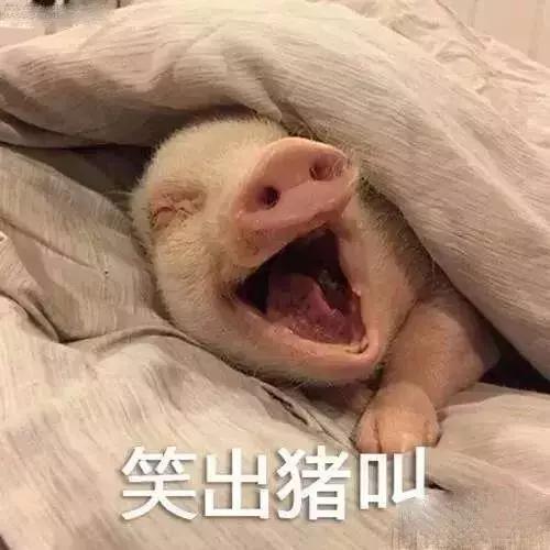 小红书养生秘笈有多沙雕？